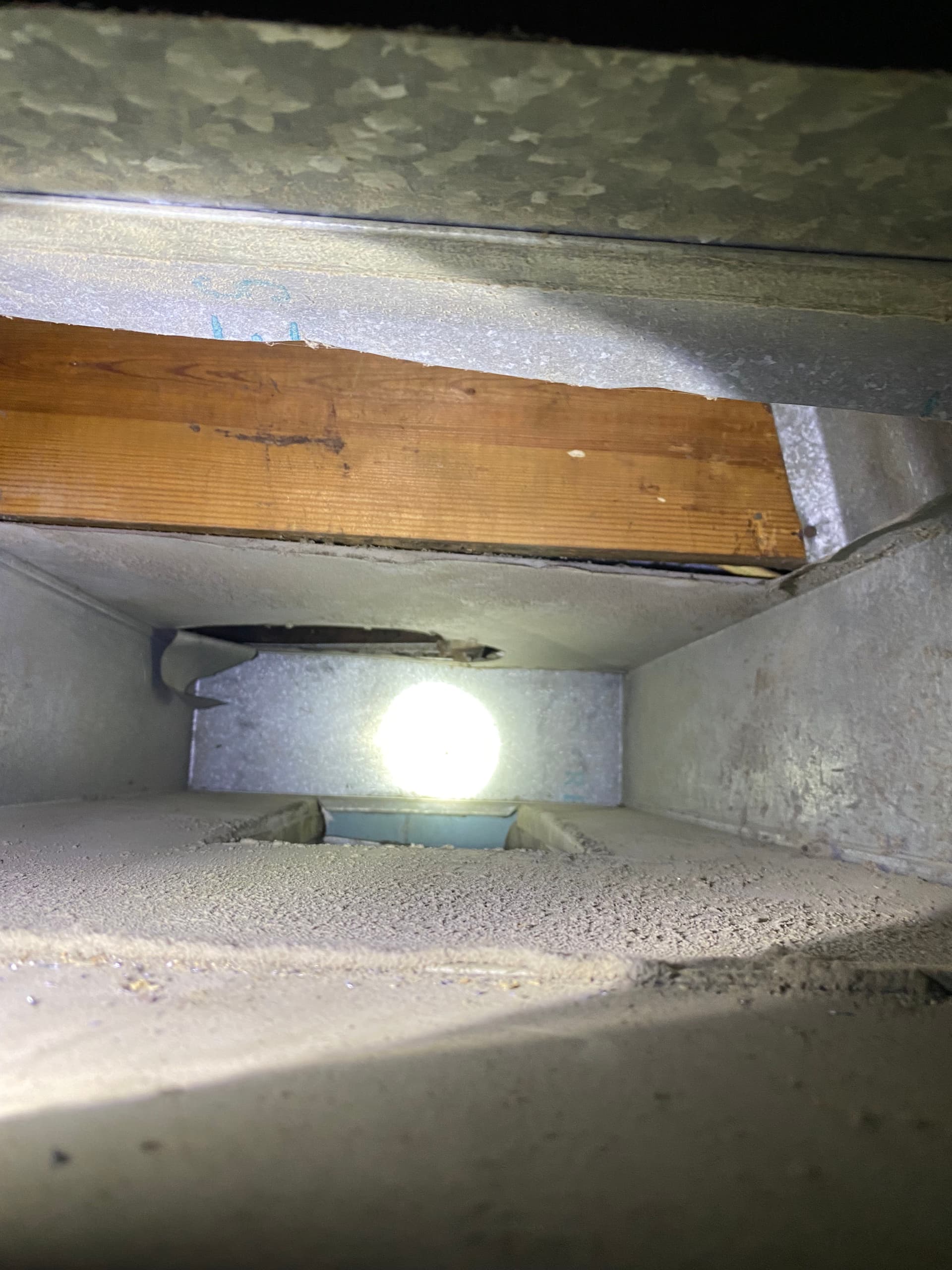 Gallery photos for What's Really Living Inside Your Home's Ductwork: Image #3