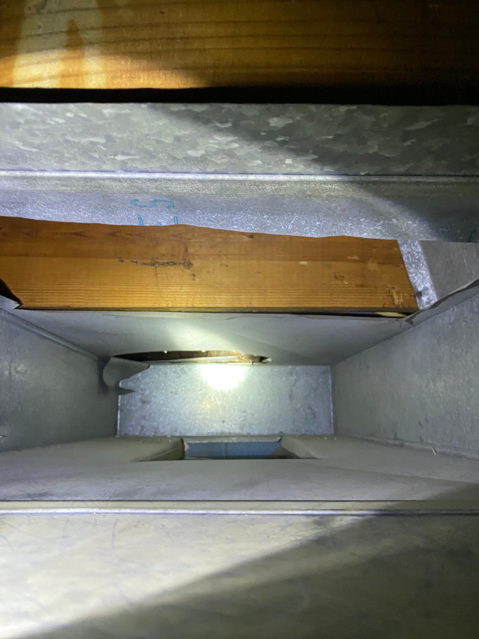 Gallery photos for What's Really Living Inside Your Home's Ductwork: Image #5