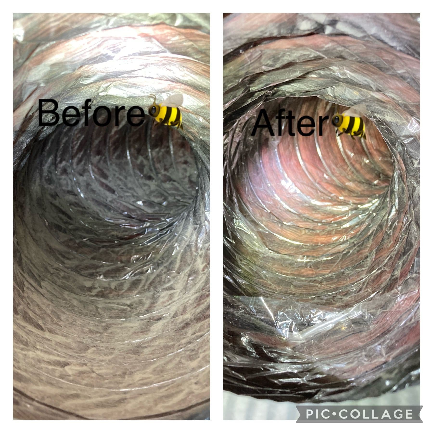 Gallery photos for What's Actually Living Inside Your Air Ducts: Image #3