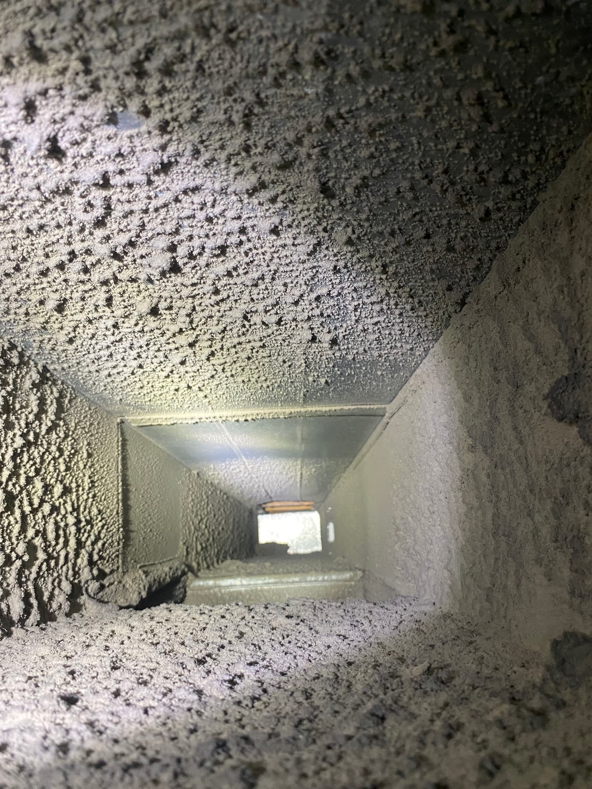 Gallery photos for What's Really Hiding Inside Your Home's Air Ducts: Image #1