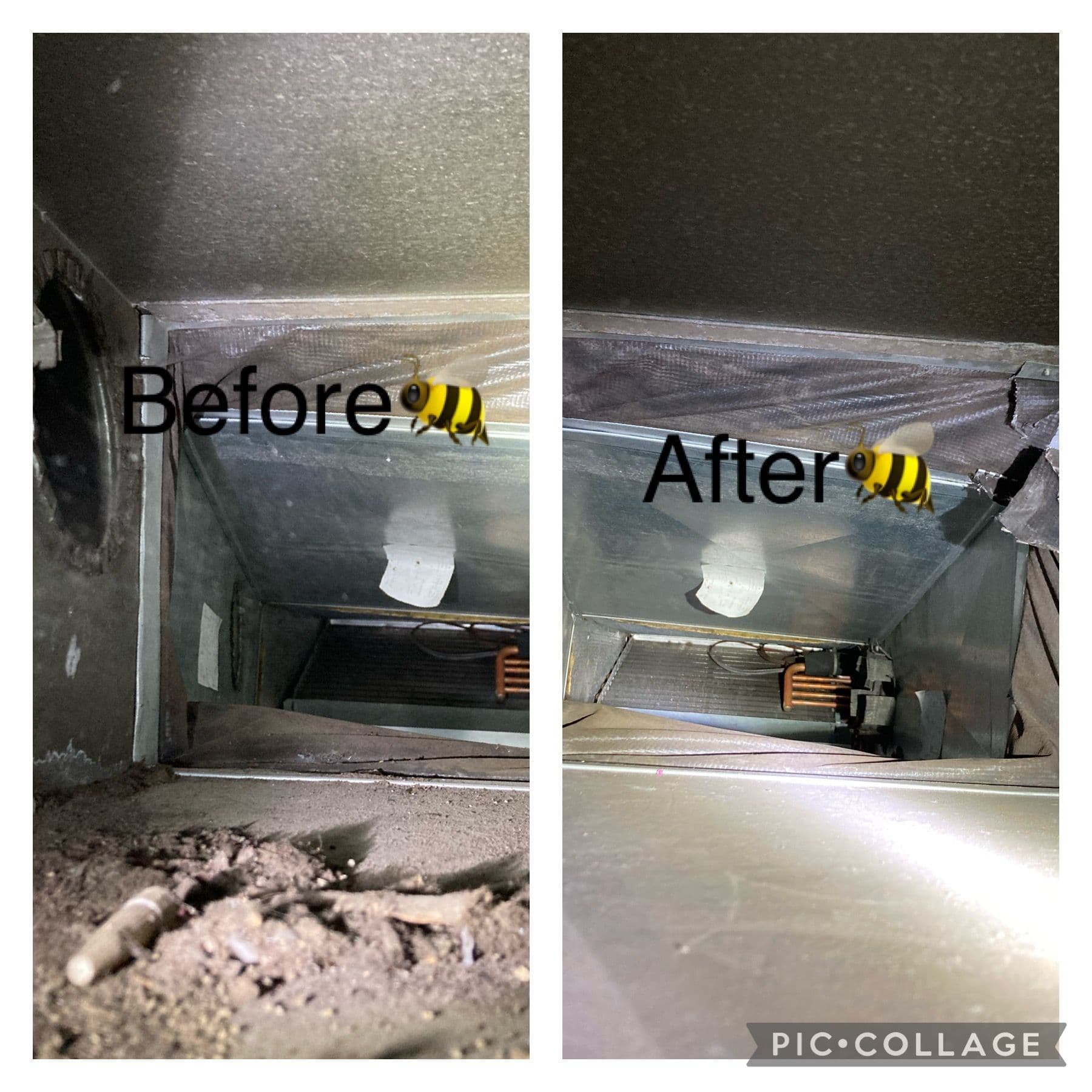 Gallery photos for What's Actually Living Inside Your Air Ducts: Image #4