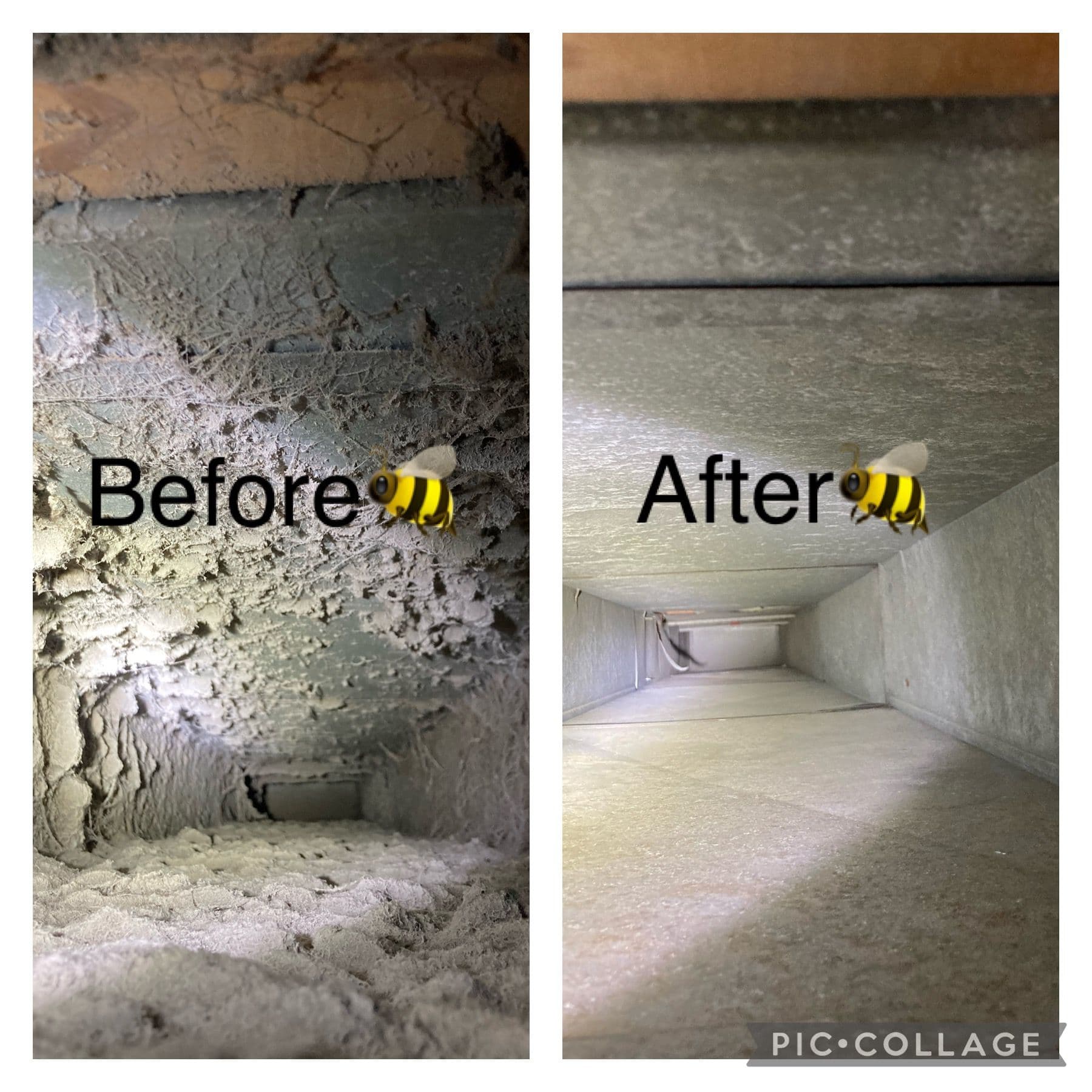 Gallery photos for What's Actually Living Inside Your Air Ducts: Image #6