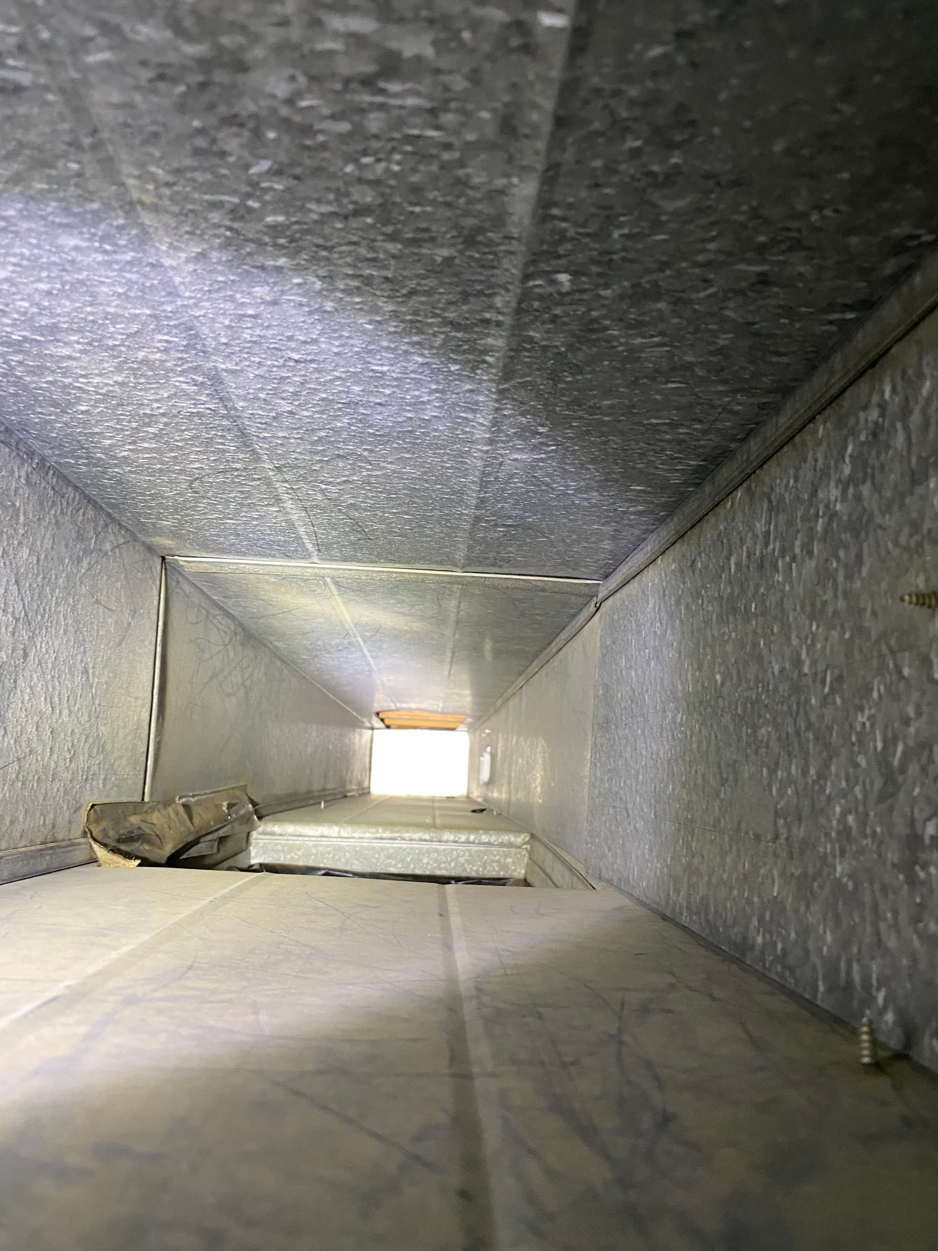 Gallery photos for What's Really Hiding Inside Your Home's Air Ducts: Image #3
