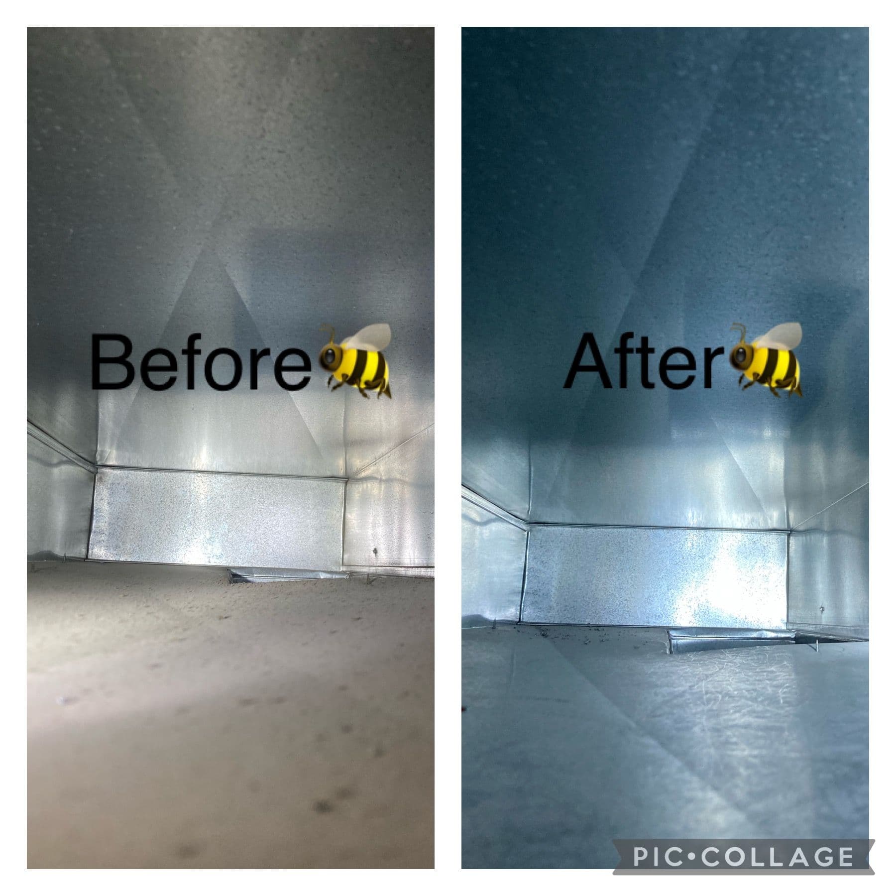 What's Actually Living Inside Your Air Ducts image