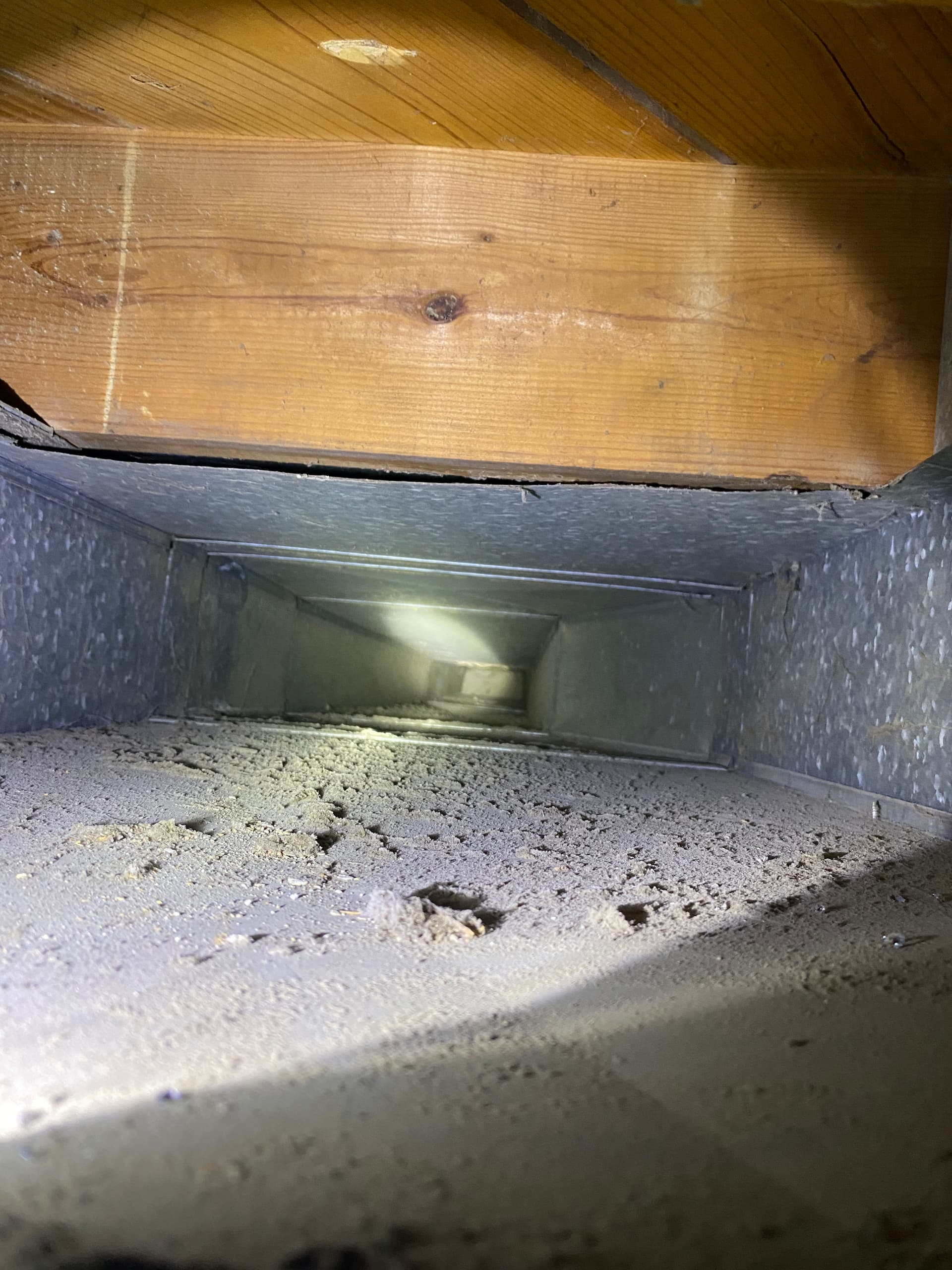 Gallery photos for What's Really Living Inside Your Home's Ductwork: Image #1