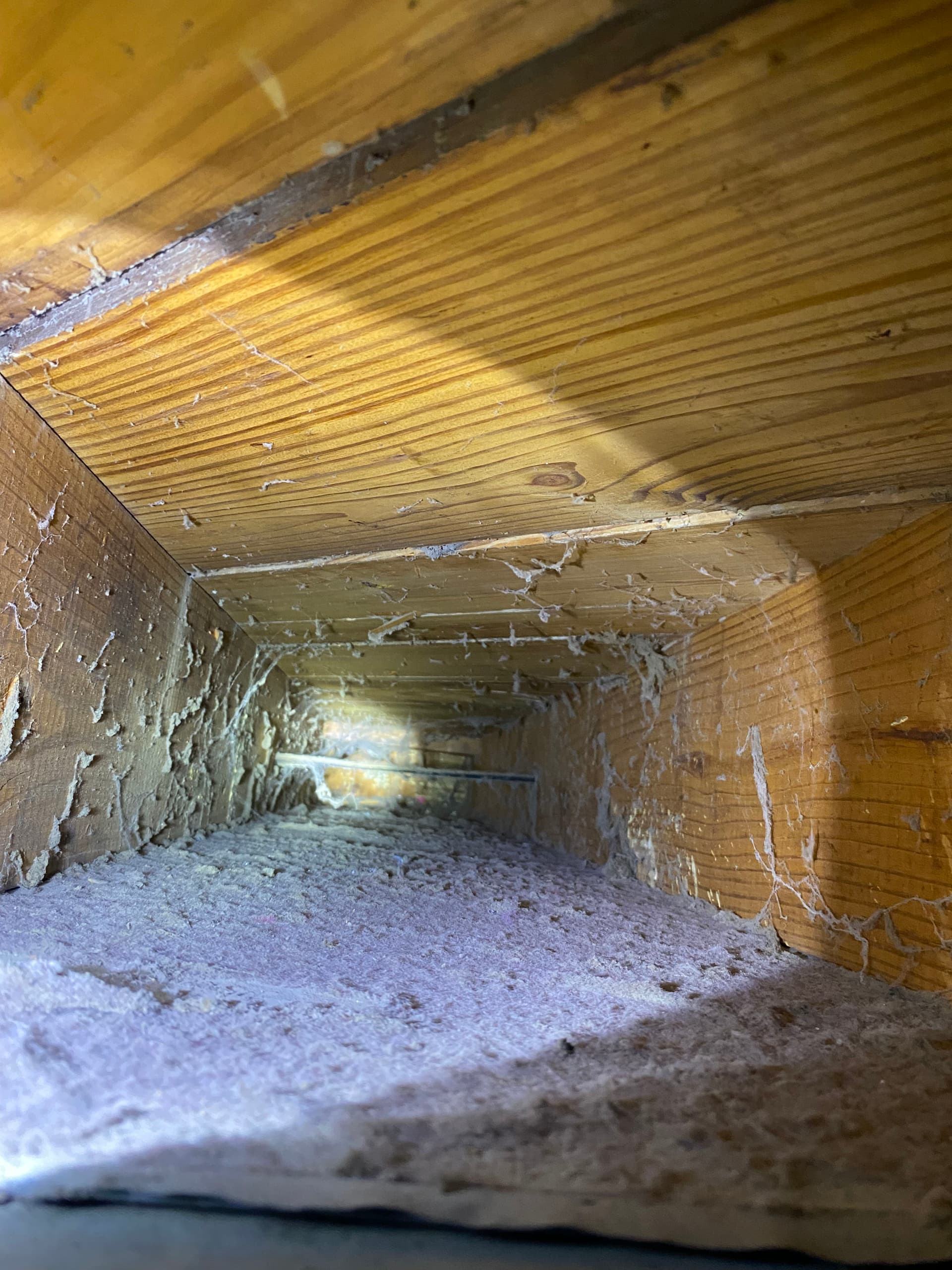 Gallery photos for What's Really Living Inside Your Home's Ductwork: Image #2