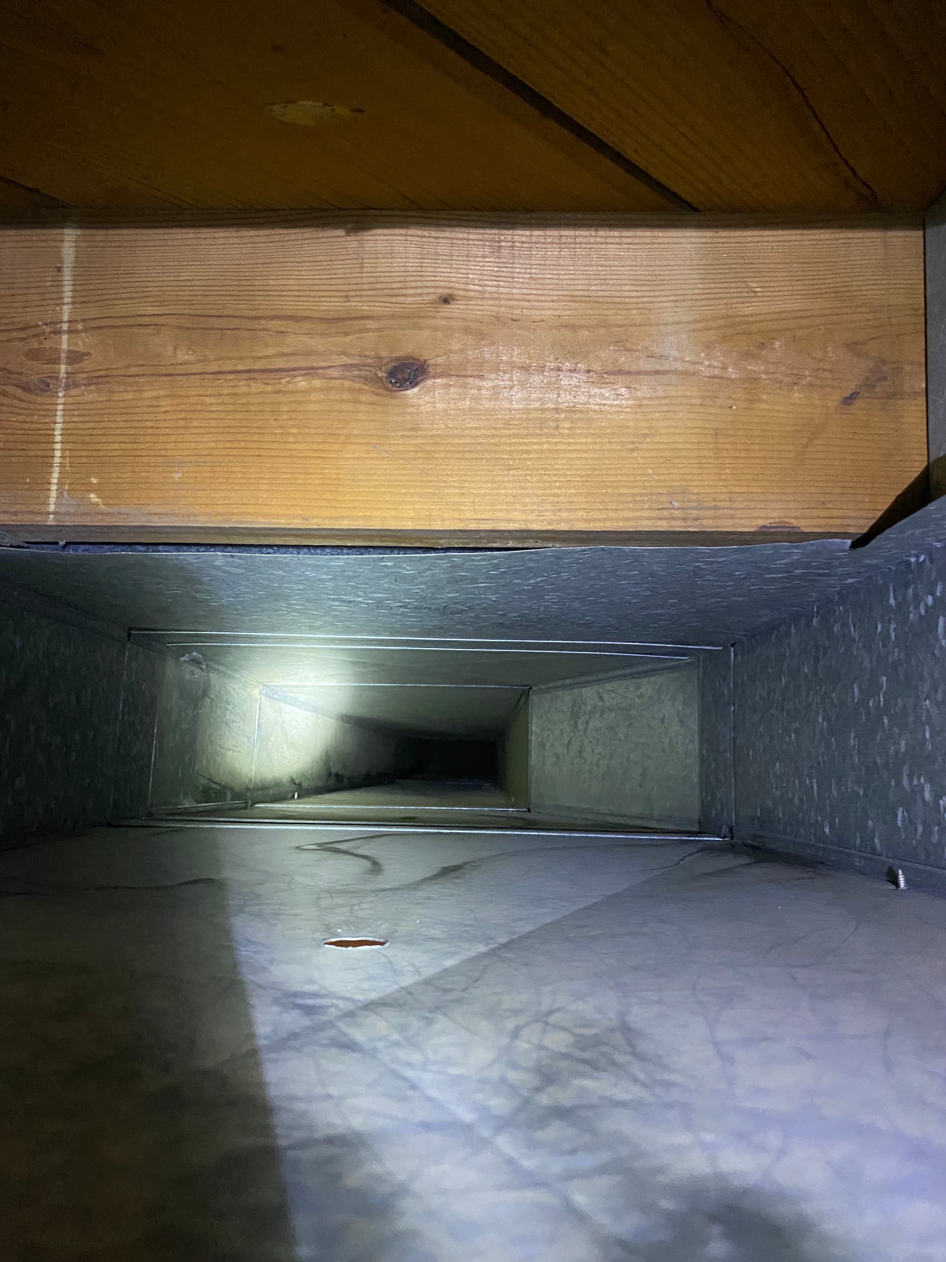 Gallery photos for What's Really Living Inside Your Home's Ductwork: Image #4