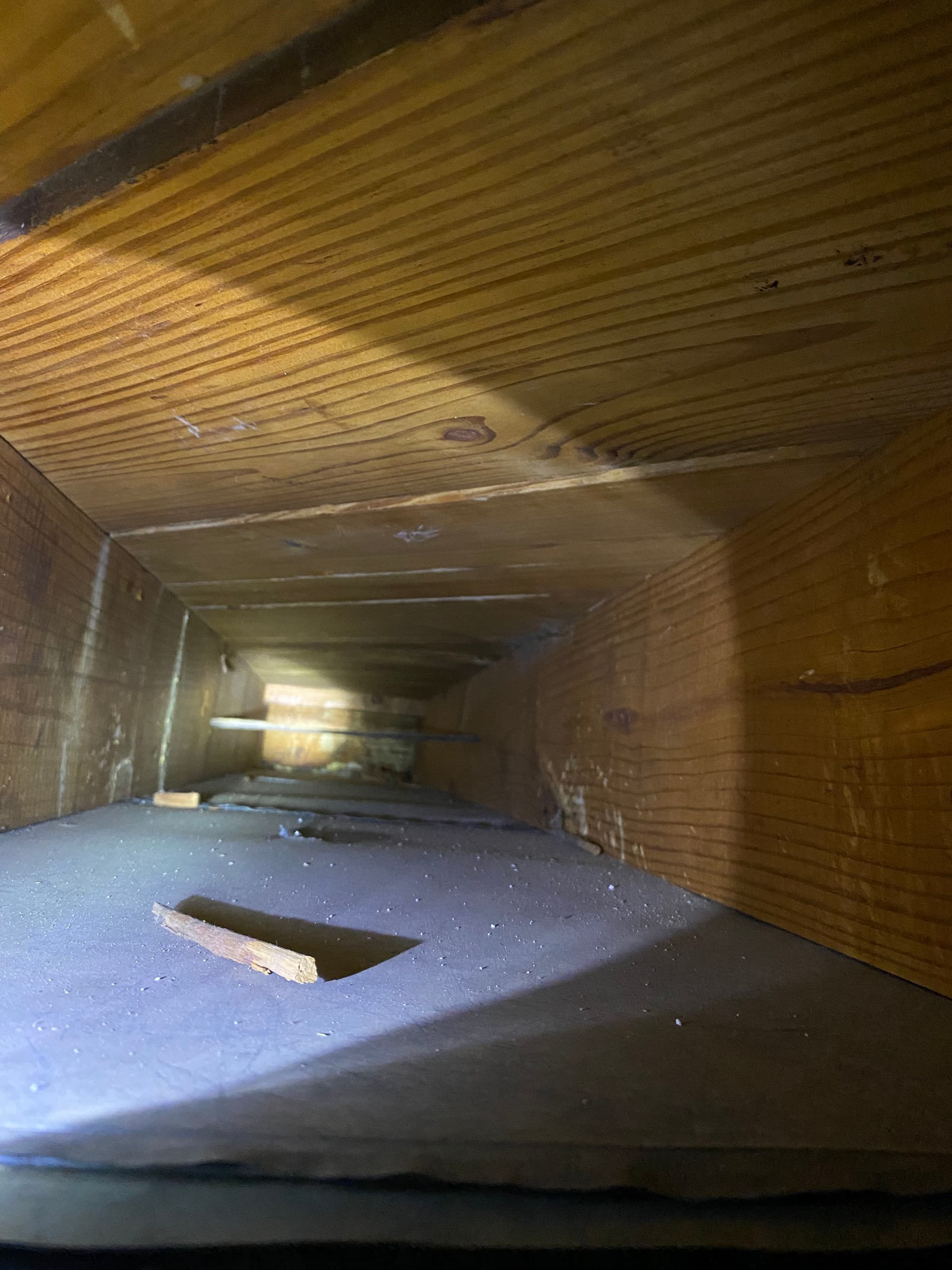 Gallery photos for What's Really Living Inside Your Home's Ductwork: Image #6